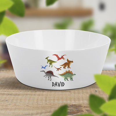 Dinosaur Kids' Bowl